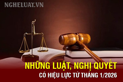 Những Luật, Nghị quyết có hiệu lực từ tháng 1/2026