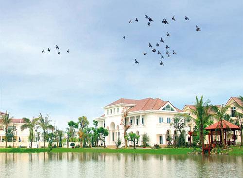 Cổ tức cao trong doanh nghiệp chưa niêm yết