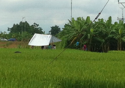 Truy bắt hung thủ sát hại mẹ đẻ