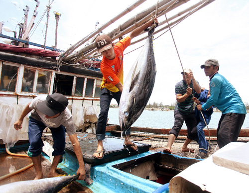 Nhà nước sẽ hỗ trợ kịp thời để ngư dân vươn khơi bám biển
